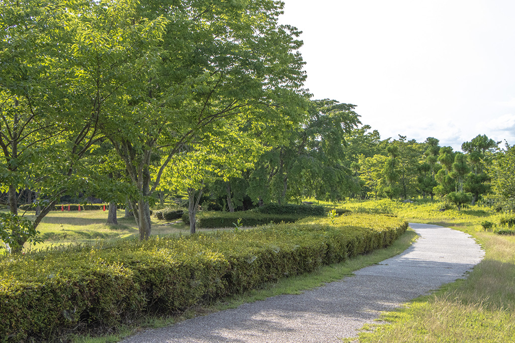 散策路/山城総合運動公園(京都市/宇治市)