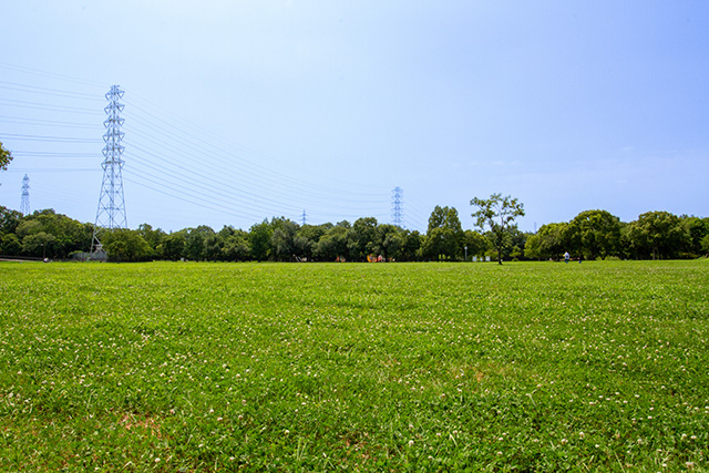 芝生広場/深北緑地（大阪府/大東市）