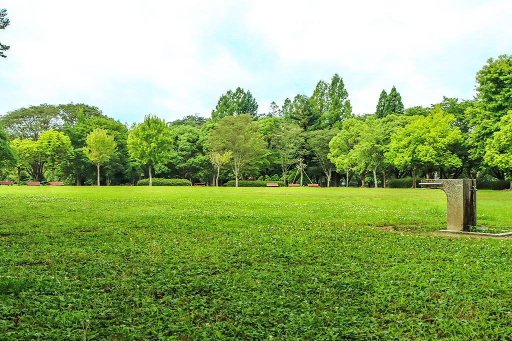 芝生広場/亀岡運動公園（大阪府/亀岡市）