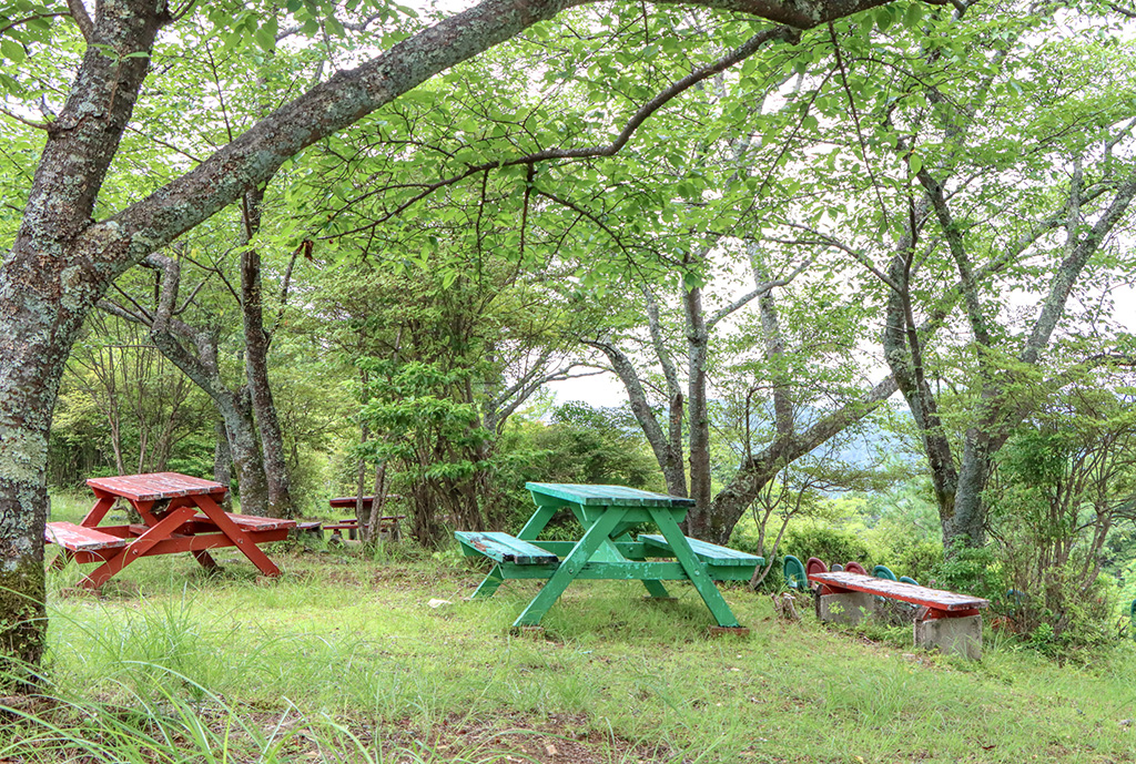 休憩スポット/嵐山-高雄パークウエイ(京都府/京都市)
