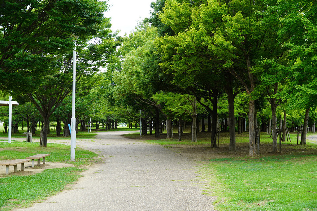散策路/芦屋市総合公園（兵庫県）