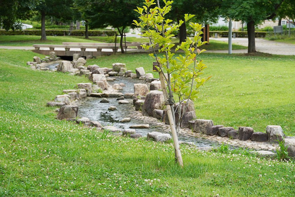 せせらぎの川/芦屋市総合公園（兵庫県）