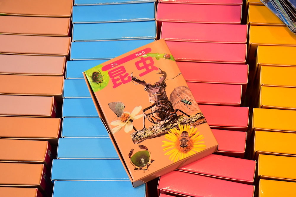 多摩動物公園昆虫園