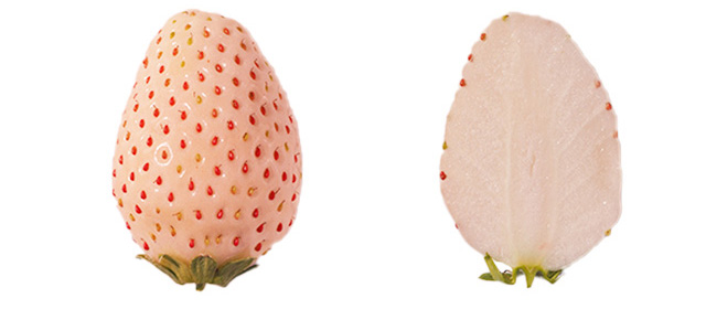 ミルキーベリー(栃木県)