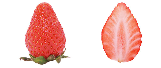 やよいひめ(群馬県)