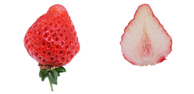 越後姫(新潟県)