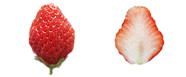 宝交早生(兵庫県)