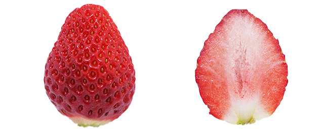 レッドパール(愛媛県)