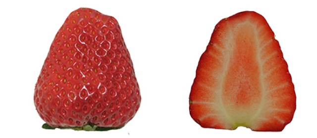 もういっこ（宮城県）