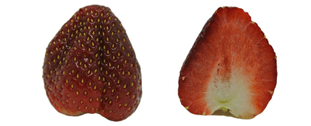 真紅の美鈴(千葉県)