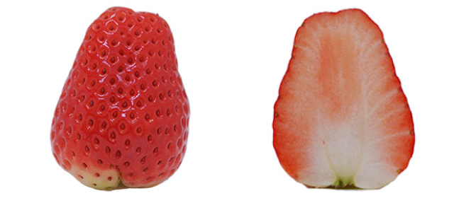 スカイベリー(栃木県)