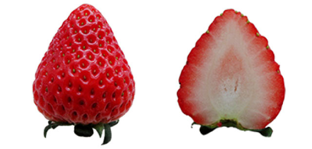 とちあいか(栃木県)