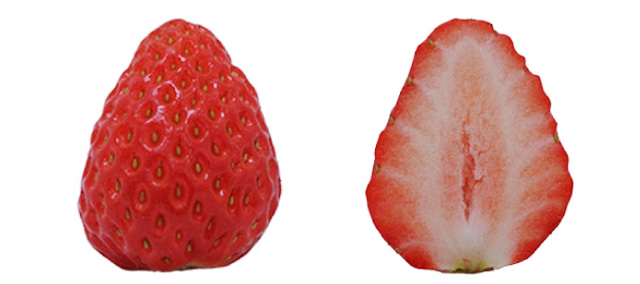 まりひめ(和歌山県)