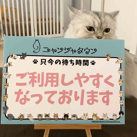 「ニャンジャタウン」公式 Twitterで、その日の混雑具合や待ち時間を発信/ナンジャタウン(東京都/豊島区)