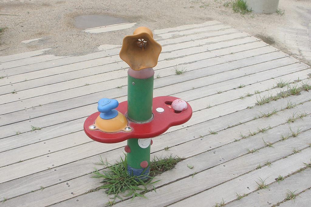 らっぱすいせん/大蔵海岸公園(兵庫県/明石市)