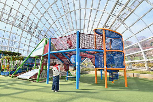 山梨県笛吹川フルーツ公園（山梨県/山梨市）