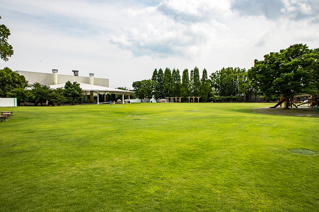 芝生広場/京都競馬場 緑の広場（京都府/京都市）