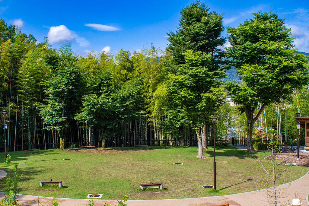 /京都市洛西竹林公園(京都府)