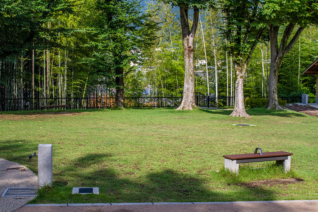 芝生広場/京都市洛西竹林公園(京都府)
