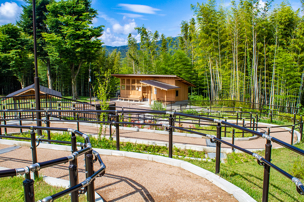 緩やかなスロープ/京都市洛西竹林公園(京都府)
