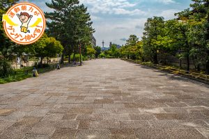 梅小路公園(京都市下京区)は、みどころ満載な都会の癒やしスポット