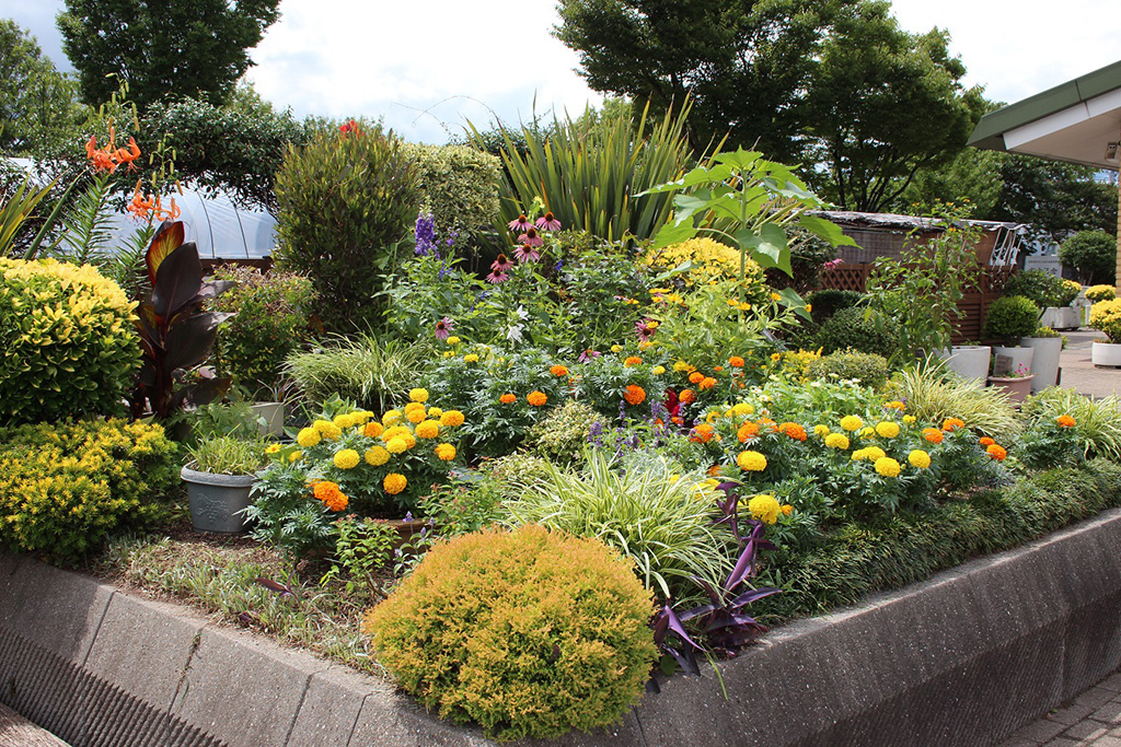 ガーデニングエリア/昆陽南公園(兵庫県/伊丹市)