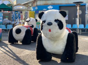 下町の遊園地「浅草花やしき」を子ども連れで楽しむ！年齢別おすすめアトラクションも
