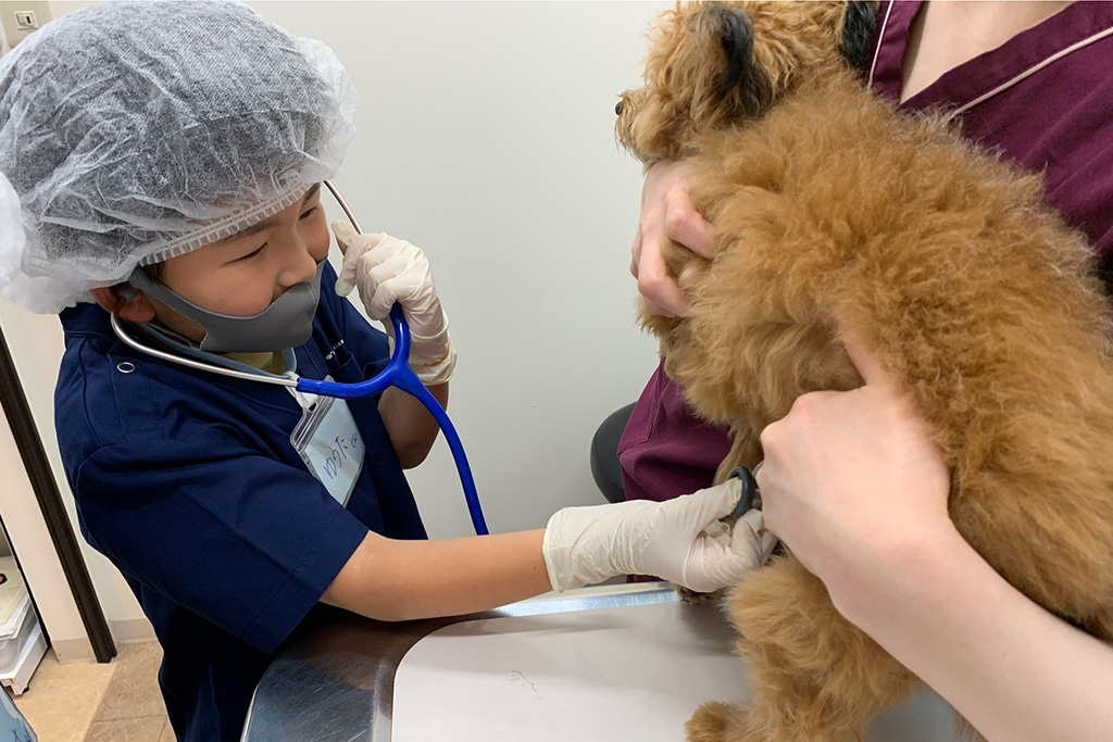お仕事インタビュー(獣医さん)