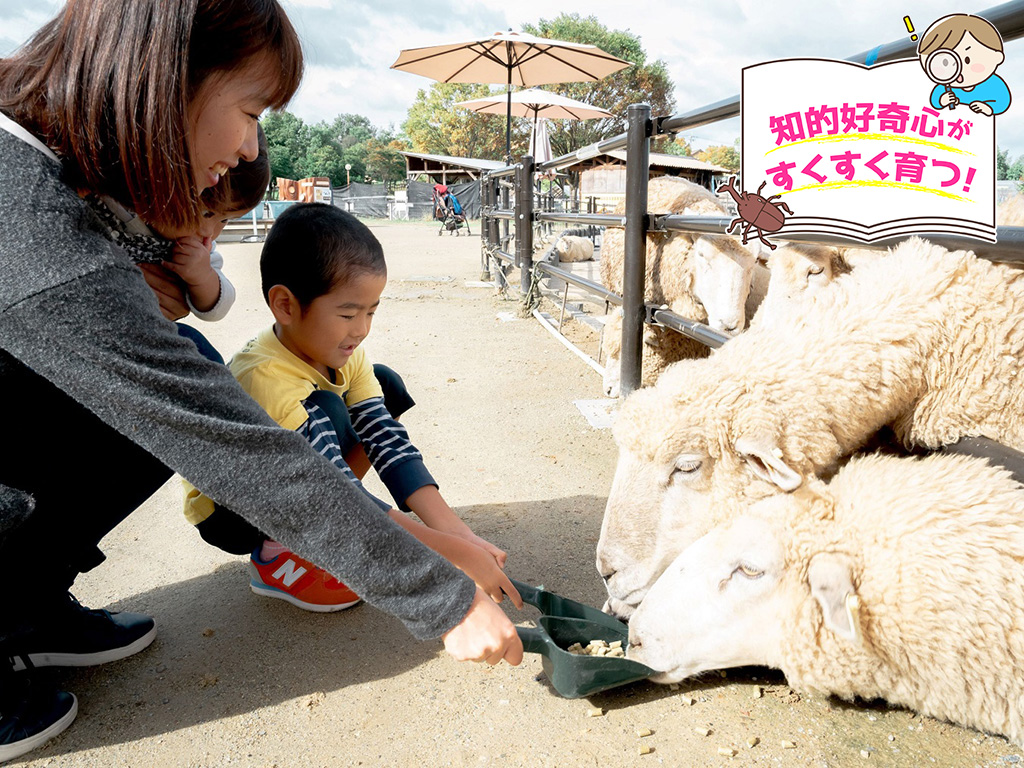 堺・緑のミュージアム ハーベストの丘（大阪府/堺市）