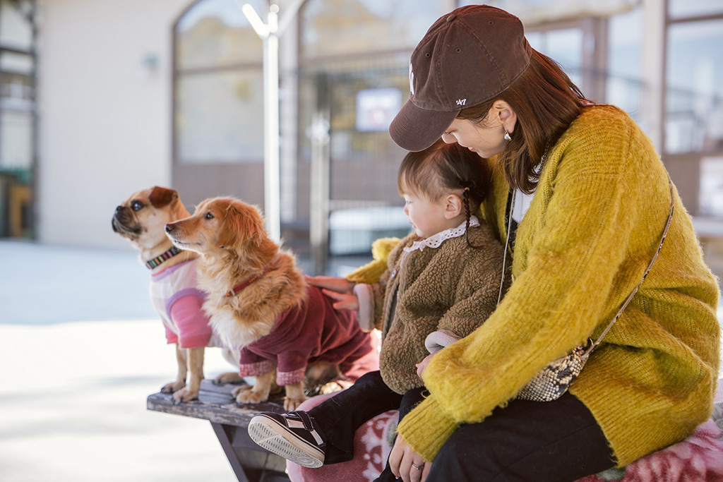 犬たちとふれあえる広場/堺・緑のミュージアム ハーベストの丘(大阪府/堺市)