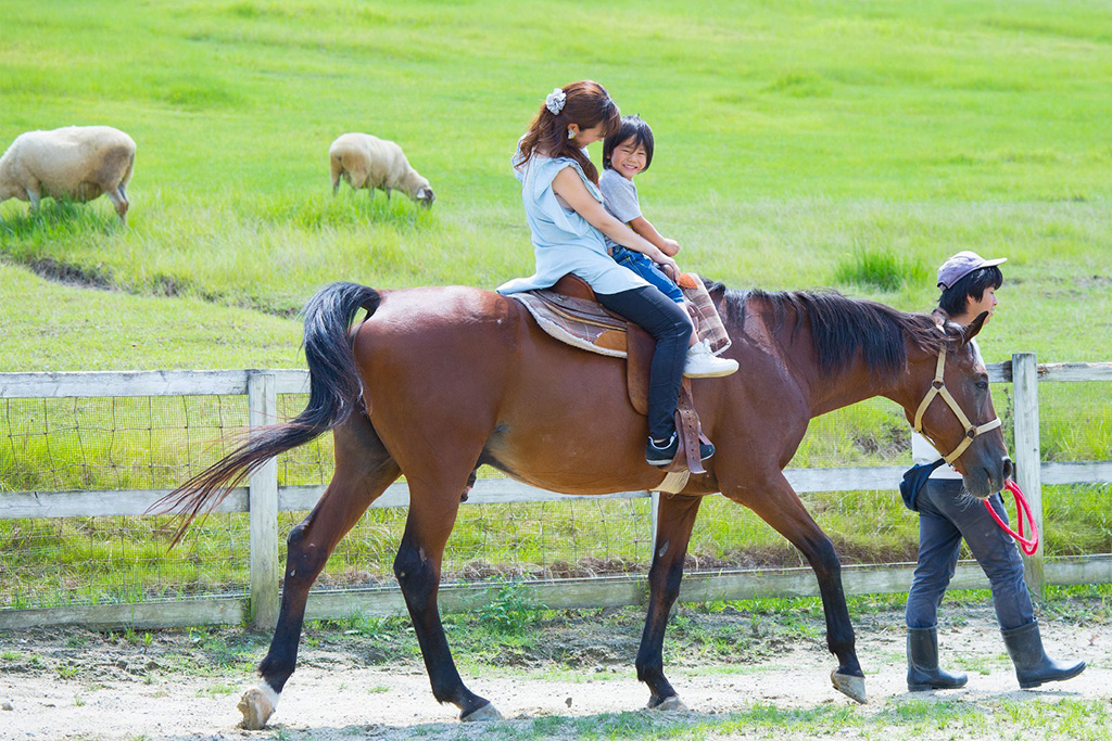 乗馬体験/堺・緑のミュージアム ハーベストの丘(大阪府/堺市)