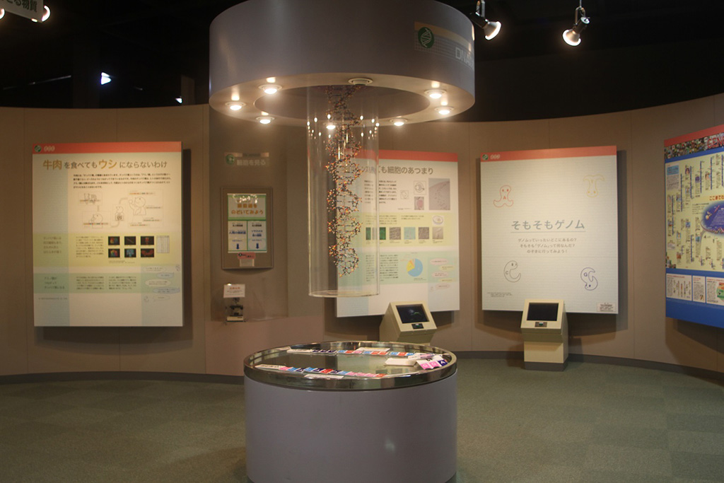 第5展示室/バンドー神戸青少年科学館(兵庫県/神戸市)