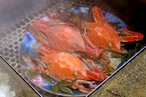 子どもも楽しい!長崎県島原半島・小浜温泉グルメ旅【西九州新幹線沿線】