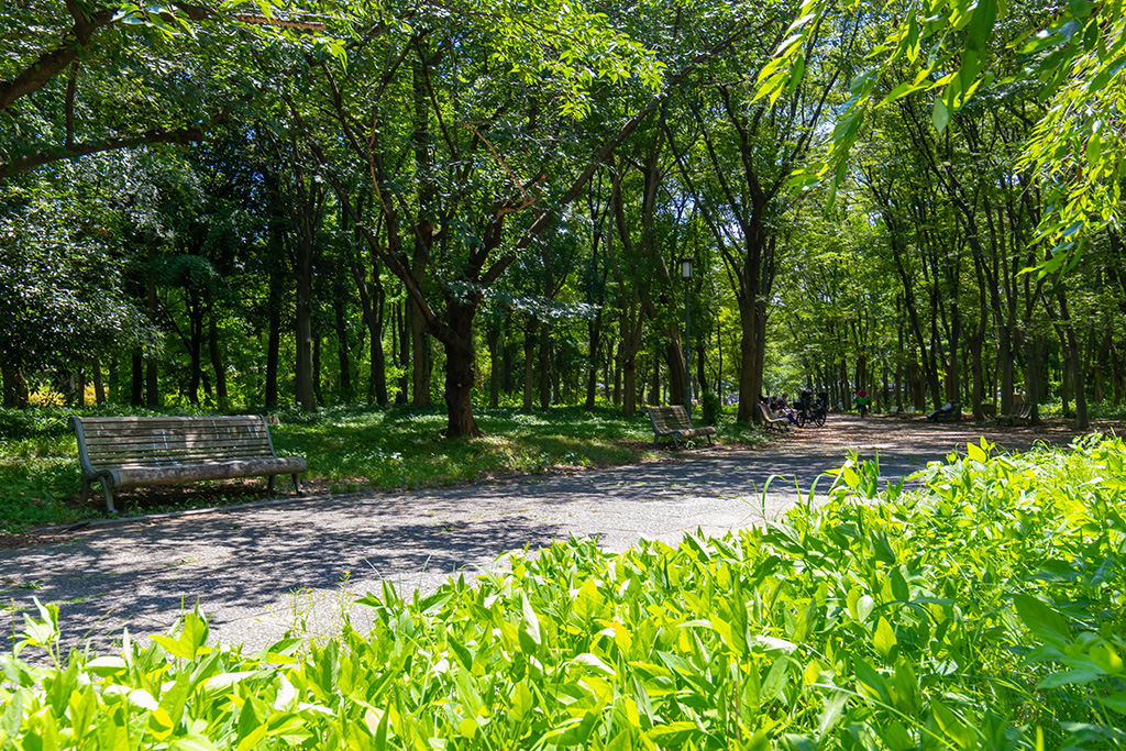 「市民の森」と「記念樹の森」/大阪城公園(大阪府/大阪市)