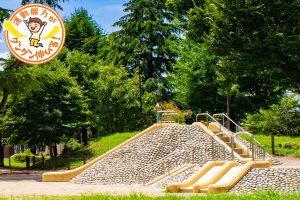 二条城のお膝元にある二条公園(京都市上京区)は、昆虫観察も楽しめる公園