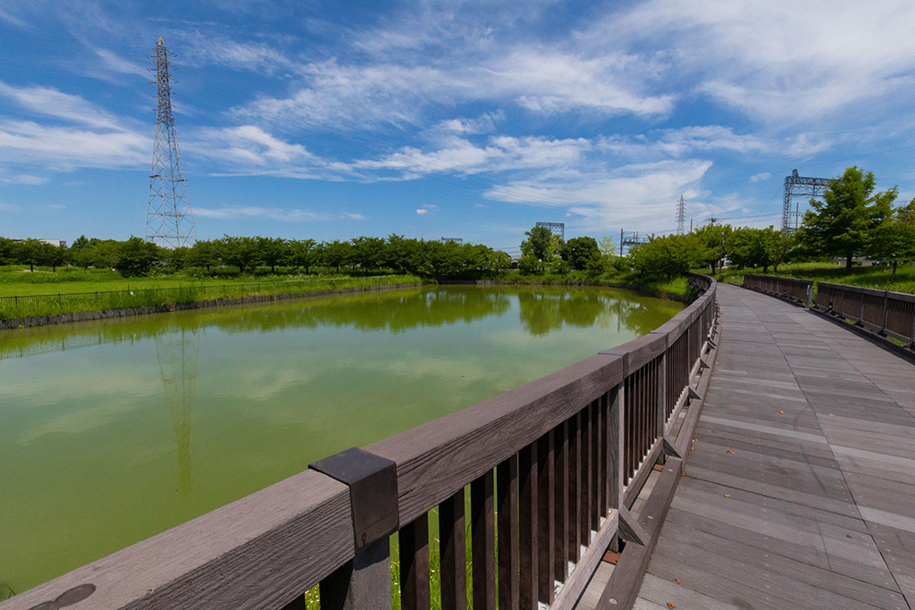 修景池/石川河川公園 駒ヶ谷地区(大阪府/羽曳野市)