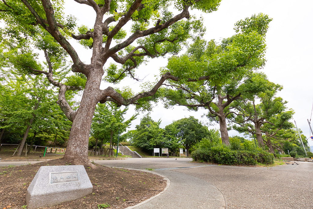 巽東緑地（大阪府/大阪市）
