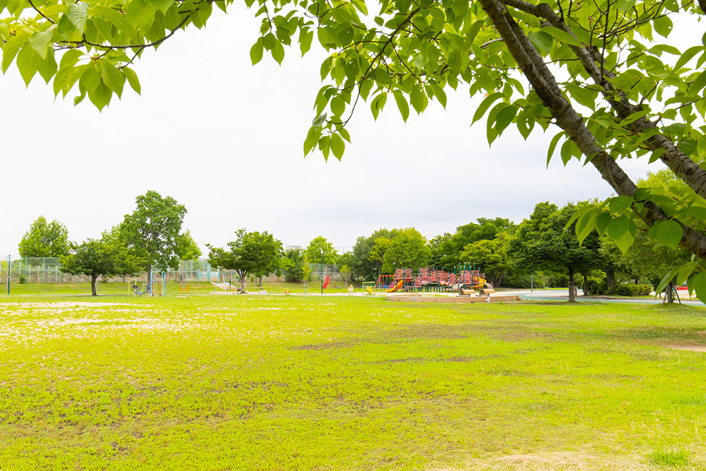 芝生広場/巽東緑地（大阪府/大阪市）