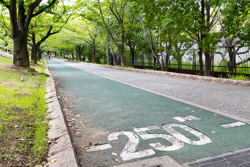 ウォーキングコース/巽東緑地（大阪府/大阪市）