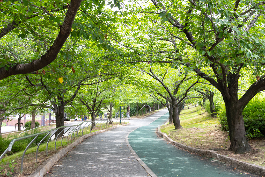 巽東緑地（大阪府/大阪市）