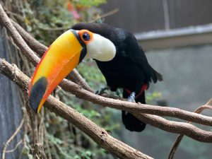 カワスイ 川崎水族館を幼児・小学生と楽しもう！バックヤードツアーなど体験も充実