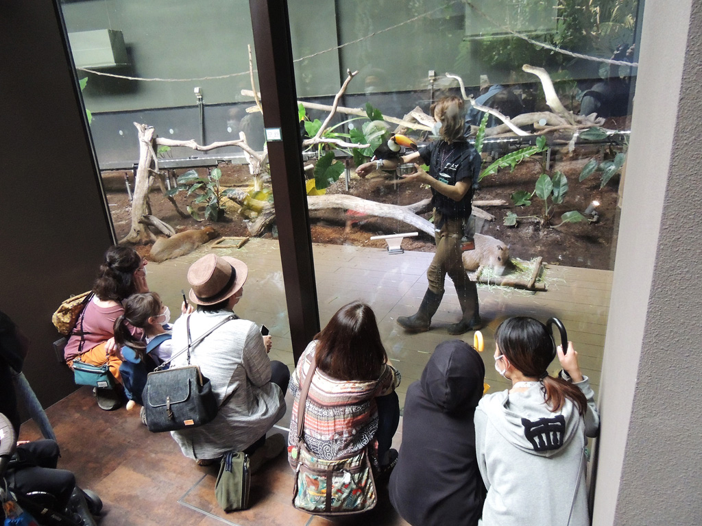飼育員さんがオニオオハシと一緒にいる場所がアマゾンデッキ/カワスイ 川崎水族館(神奈川県)
