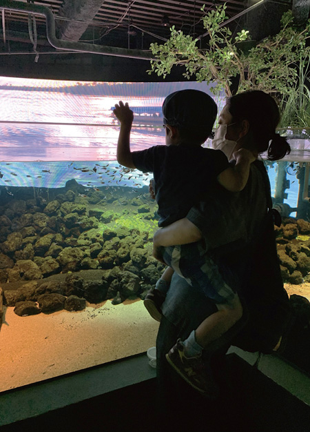 水槽の上から魚たちにエサやり/カワスイ 川崎水族館(神奈川県)