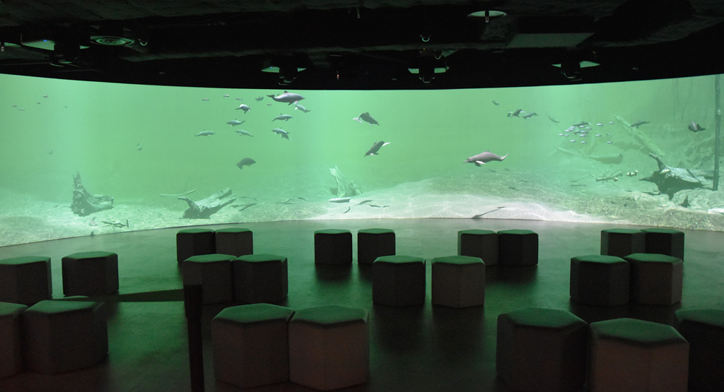 生きものはどれも実寸大でスクリーンに投影/カワスイ 川崎水族館(神奈川県)