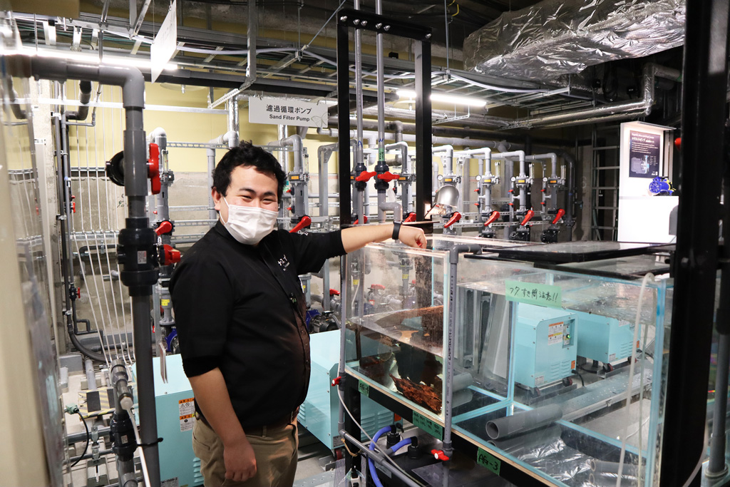 小学生以上を対象にした「バックヤードツアー」もある/カワスイ 川崎水族館(神奈川県)