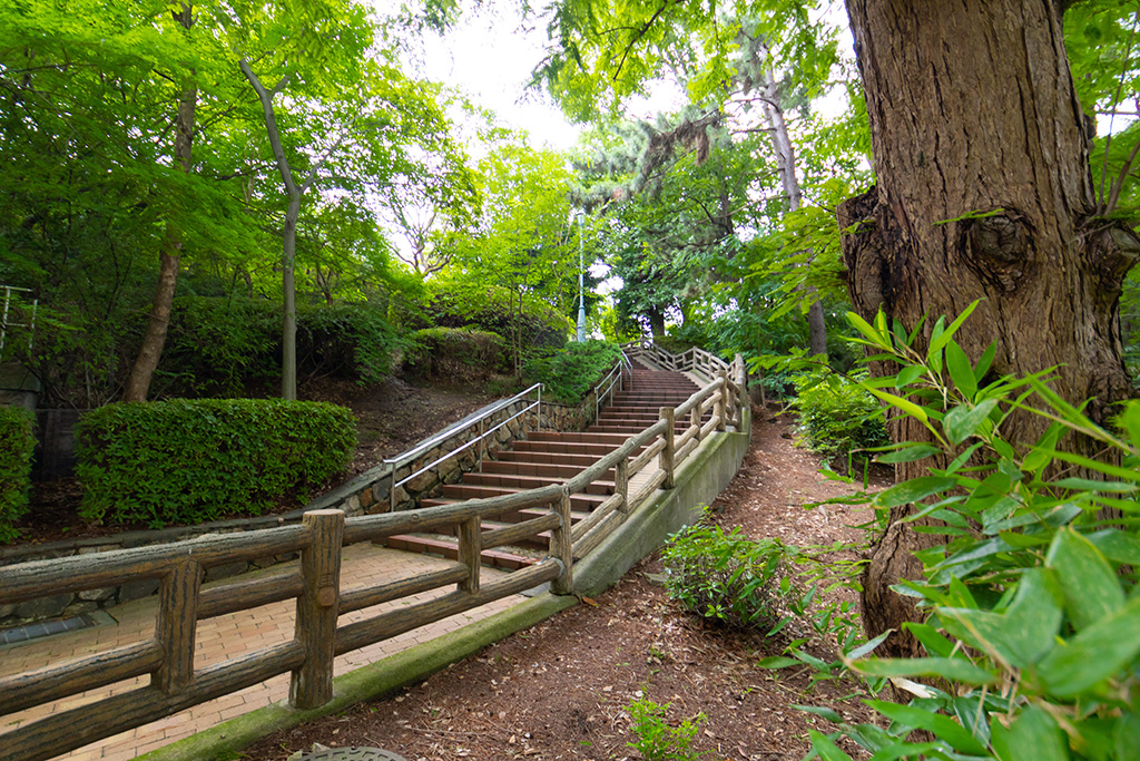 散策路/片山公園(大阪府/吹田市)