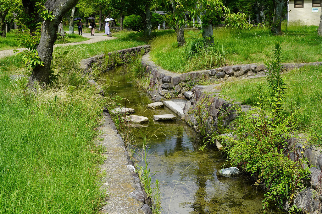 小川の飛び石/西武庫公園（兵庫県/尼崎市）
