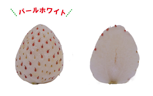 パールホワイト