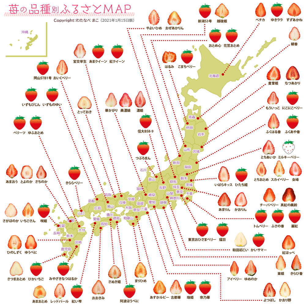苺の品種別ふるさとMAP