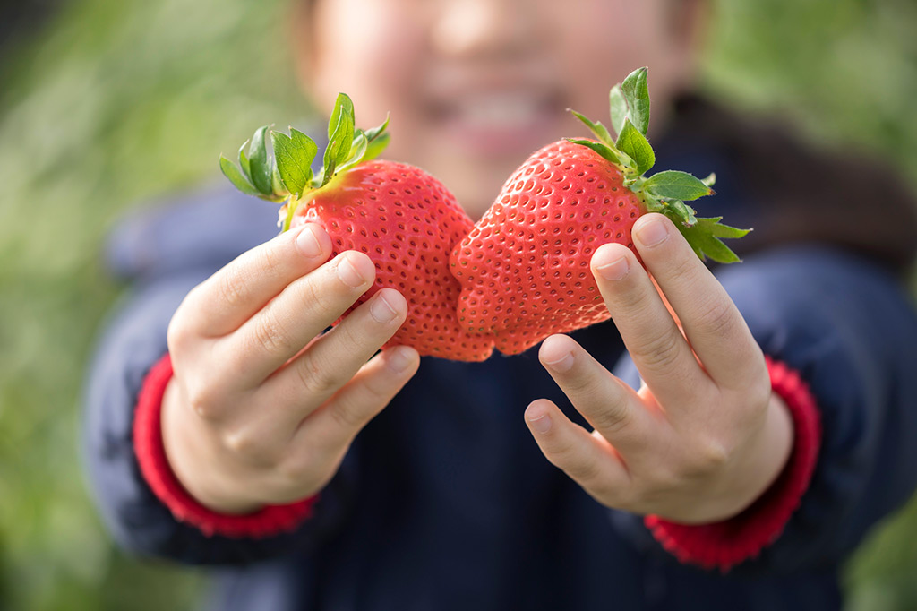 いちご(イメージ)